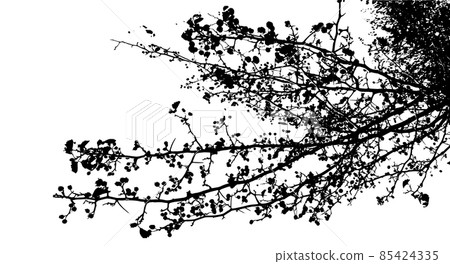 The branches of the tree monochrome background. Vector illustration 85424335