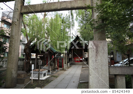 Tokyo Mishima Shrine Tokyo Mishima Shrine 85424349