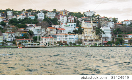 View of Burgazada island from the sea with summer houses and a small mosque, Sea of Marmara, near Istanbul, Turkey 85424949
