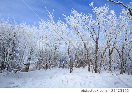 Snow Scenery of Balwangsan Mountain, Pyeongchang-gun, Gangwon-do 85425165