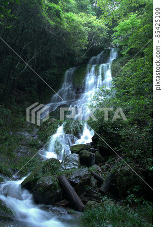 Upper waterfall of Taido Falls 2 Kita Ward, Okayama City, Okayama Prefecture 85425199