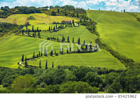 Winding rural road in the grain field on the hillside 85425962