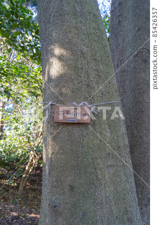 二條山山頂（下）（三浦阿爾卑斯） 85426357