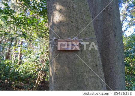 二條山山頂(下)(三浦阿爾卑斯) 二條山山頂(下)(三浦阿爾卑斯) 85426358