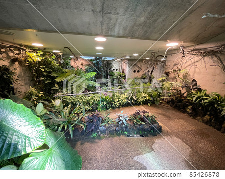 淡路綠色大廳 淡路綠色大廳 85426878