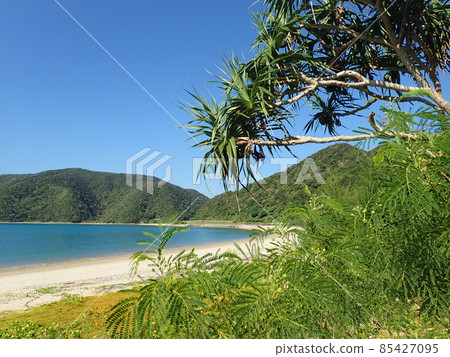 The beautiful coast of Shodon on Kakeromajima 85427095