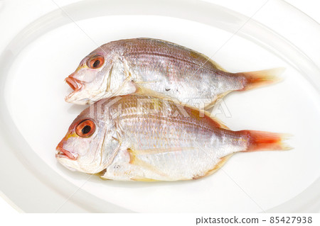幹鯛魚 幹鯛魚 85427938