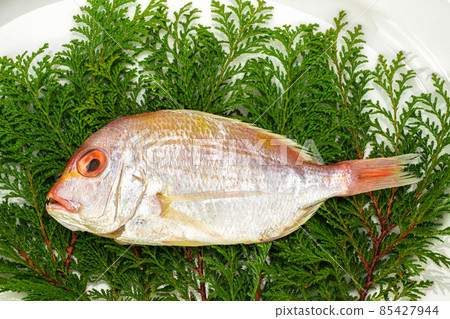 Dried sea bream Dried sea bream 85427944