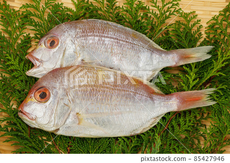 Dried sea bream 85427946