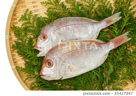 Dried sea bream 85427947