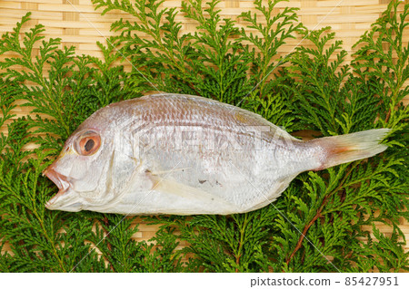 Dried sea bream 85427951