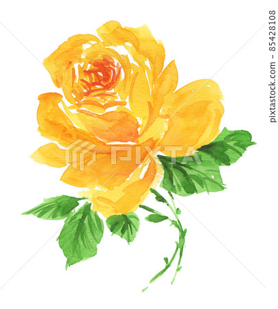 bloom, blossom, blossoms 85428108