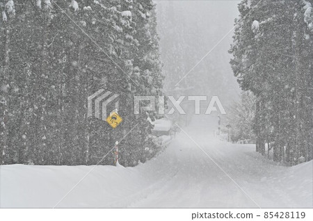 [Shiso City, Hyogo Prefecture] National highway with snowfall 85428119