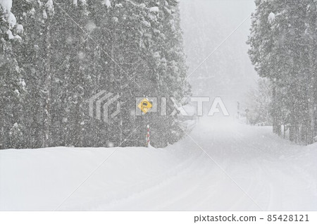 [Shiso City, Hyogo Prefecture] National highway with snowfall 85428121