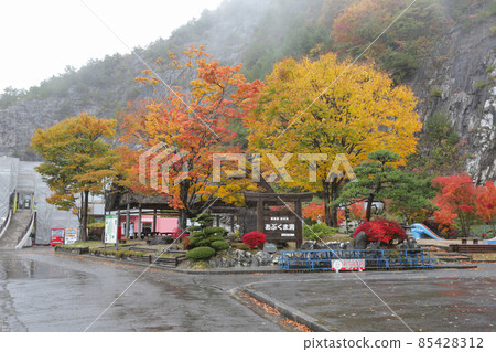 Autumn leaves and face in Abukuma Caves, Tamura City, Fukushima Prefecture 85428312