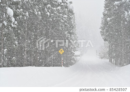 [兵庫縣誌曾市]有降雪的國道 85428507
