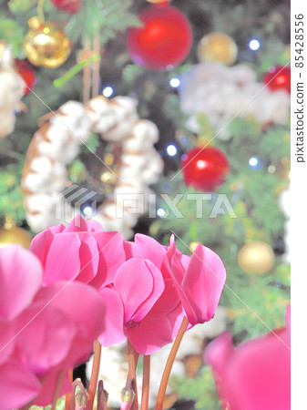 Christmas Christmas 85428556
