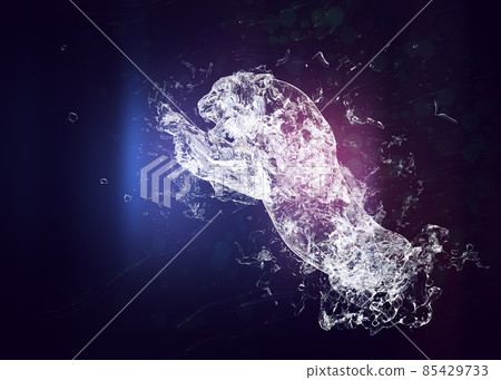 3D Water splashes tiger 3D Water splashes tiger 85429733