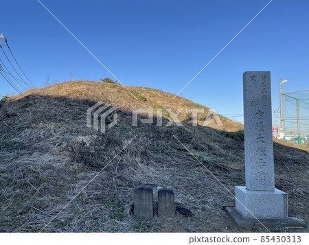 埼玉市後府大塚古墓 埼玉市後府大塚古墓 85430313