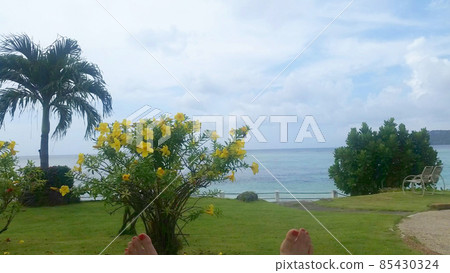 Blue sea from the hotel garden in Guam Blue sea from the hotel garden in Guam 85430324
