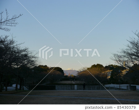 冬天從寶野公園看富士山（關東富士山100景） 85430379