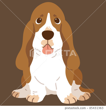 一隻簡單可愛的巴吉度獵犬的插圖，它面朝前方，沒有主線 85431363