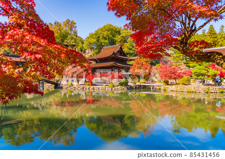 Autumn Kokeizan Eihoji Temple <Tajimi City, Gifu Prefecture> Autumn Kokeizan Eihoji Temple <Tajimi City, Gifu Prefecture> 85431456