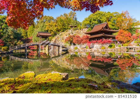 Autumn Kokeizan Eihoji Temple <Tajimi City, Gifu Prefecture> Autumn Kokeizan Eihoji Temple <Tajimi City, Gifu Prefecture> 85431510