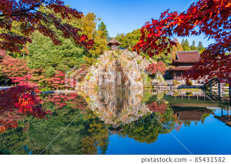 Autumn Kokeizan Eihoji Temple <Tajimi City, Gifu Prefecture> 85431582
