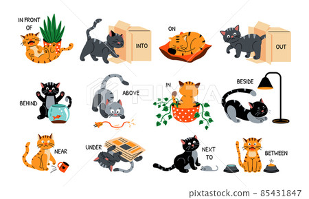 Cat in English prepositions. Cartoon cute cat near far above below behind and in front of cushion bowl with food and pot with plant. Vector set illustration cute active playful kitty 85431847