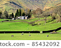 Hills with sheep 85432092