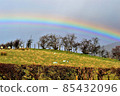 Hills with rainbows 85432096