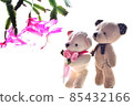 A teddy bear staring at a red flower 85432166