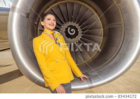 Cheerful woman stewardess standing near aircraft engine Cheerful woman stewardess standing near aircraft engine 85434172