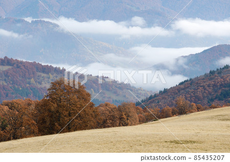 Autumn Landscape with fog in mountains Autumn Landscape with fog in mountains 85435207
