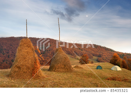 Haystack on the meadow 85435321