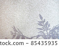 植物陰影（紋理）反射在牆上 85435935