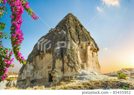 Cave and flowers Cave and flowers 85435952