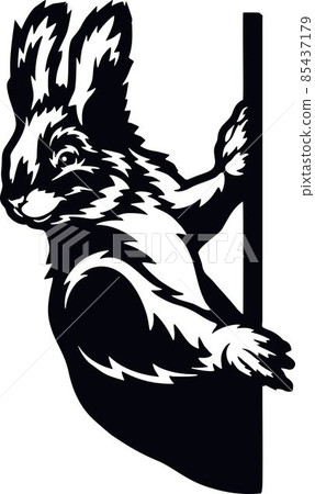 Peeking Squirrel - Funny Wild Animal peeking out - face head isolated on white 85437179