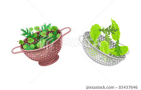 Vegetables in kitchen colander set. Strainers full of fresh arugula, chard, watercress, lettuce greenery. Healthy organic food vector illustration 85437646