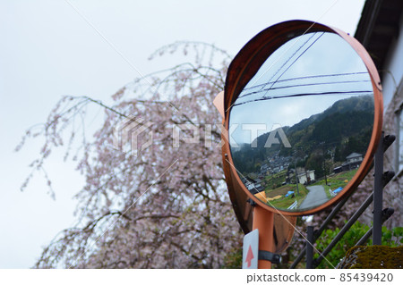 curve-mirror	 85439420