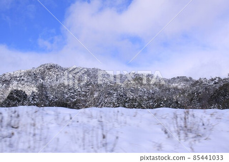 雪蓋 85441033