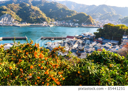 《Hiroshima Prefecture》 Morning scenery of Shimo-kamagari Island and Sanose 85441231