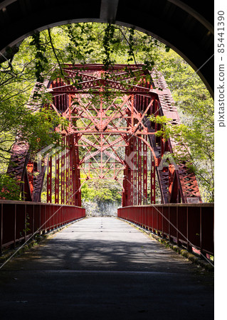 EOS R6. 廣島大釋峽,隧道對面。 EOS R6. 廣島大釋峽,隧道對面。 85441390