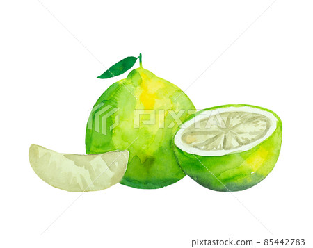 Ripe colorful vibrant pomelo fruit with leaves. Watercolor painted illustration. 85442783