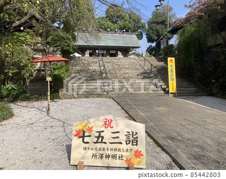 It is a pilgrimage to Tokorozawa Shinmeisha in Tokorozawa City, Saitama Prefecture. It is a pilgrimage to Tokorozawa Shinmeisha in Tokorozawa City, Saitama Prefecture. 85442803