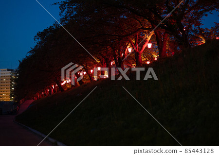 EOS R6. 廣島市廿日市，夜晚的燈籠路。 85443128