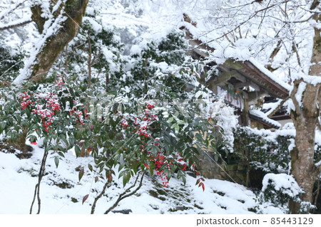 雪中的寂光院南天 85443129