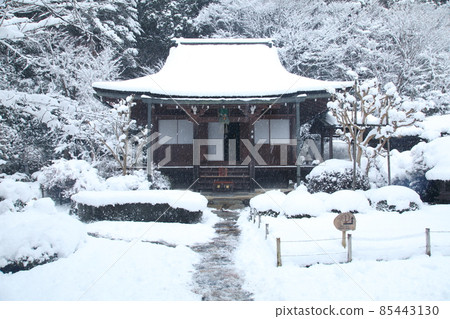 Snow Jakukouin 本堂 85443130