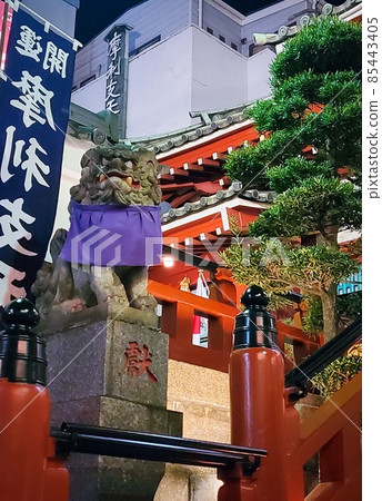 它是東京上野Marishiten德大寺的守護犬。 它是東京上野Marishiten德大寺的守護犬。 85443405